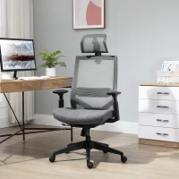 Vinsetto Mesh Fabric Home Office Task Chair with High Back, Adjustable Seat, Recline, Headrest and Lumbar Support, Grey(m-2)