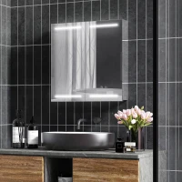 HOMCOM Illuminated Medicine Cabinet with Mirror, LED Vanity Mirror Cabinet with Defogging Film, Stainless Steel Frame(m-8)