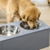 PawHut Elevated Dog Bowls with Storage, 2 Stainless Steel Bowls for Medium Dogs, Gray(m-8)