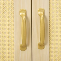 PawHut Cat Litter Box Enclosure with Soft Cushion, Indoor Cat Washroom Storage Bench End Table with PE Rattan Trim, Magnetic Doors, Easy Assembly, Oak(m-10)