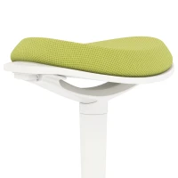HOMCOM Standing Desk Stool, Ergonomic Wobble Chair, Adjustable Leaning Stool for Office Desks, with Rocking Motion, Green(m-9)