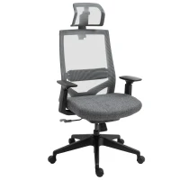 Vinsetto Mesh Fabric Home Office Task Chair with High Back, Adjustable Seat, Recline, Headrest and Lumbar Support, Grey(m-1)