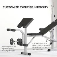 Soozier Bench Press Set Adjustable Weight Bench with Squat Rack, Preacher Curl Pad, Leg Developer and Weight Storage, Grey(m-6)