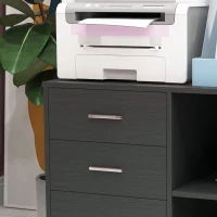 HOMCOM Modern Lateral Filing Cabinet, 3 Drawer File Cabinet for Letter and A4 Size Documents, Mobile, Printer Stand with Open Shelves, Rolling Wheels, Black(m-9)