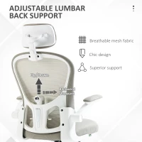Vinsetto Office Chair, Mesh Computer Desk Chair with Adjustable Headrest, 4D Lumbar Support, Flip-up Arm, Grey(m-5)