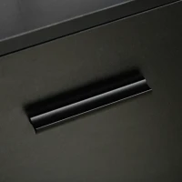 Vinsetto Mobile Printer Stand, Lateral File Cabinet with Lock, Filing Cabinet with Hanging Bars for Letter, A4 Size, Black(m-10)