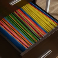 Vinsetto Mobile Filing Cabinet, Vertical File Cabinet with 2 Drawers, Wheels, for Letter or A4 File, Brown(m-10)