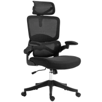 Vinsetto Ergonomic Office Chair, Mesh Chair with Adjustable Back, Headrest and Armrests, Lumbar Support, Tilt Function(m-2)