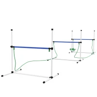 PawHut 4pc Dog Agility Training Equipment Set with Spray Water Tube, White(m-1)