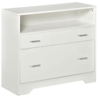 Vinsetto Lateral Filing Cabinet with 2 Drawers, File Cabinet for Hanging Letter Sized Files, Office Printer Stand, White(m-2)