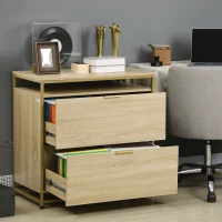 Vinsetto Lateral Filing Cabinet, 2 Drawers File Cabinet with Hanging Bars for A4 and Letter Size, Printer Stand for Home Office, Natural Tone(m-6)