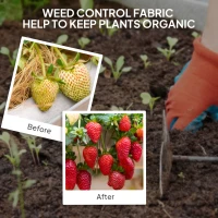 Outsunny 6FT x 300FT Weed Barrier Landscape Fabric, 5oz Heavy Duty Woven Weed Control Fabric for Landscaping(m-6)