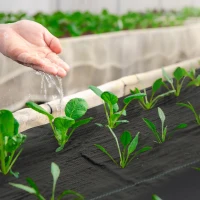 Outsunny 6FT x 300FT Weed Barrier Landscape Fabric, 5oz Heavy Duty Woven Weed Control Fabric for Landscaping(m-10)