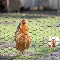 PawHut 39 in x 82 ft Chicken Wire Fence, Welded Wire Metal Roll Vegetables Garden Rabbit Fencing, Hexagonal Poultry Fence Wire, for Ducks, Gooses, Dark Green(m-10)