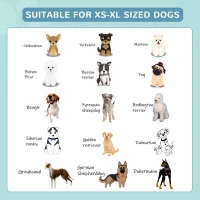 PawHut Foldable Pet Swimming Pool, Portable Dog Bathing Tub, 12" x 63" Plastic Large Dog Pool for Outdoor Dogs and Cats, Blue(m-7)