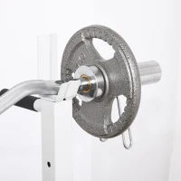 Soozier Multi-Exercise Full-Body Weight Rack with Bench Press, Leg Extension, Chest Fly Resistance Band & Preacher Curl(m-9)