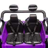 24V 2-Seater Kids Ride On Truck with Parent Control, 200W Dual Motors, Ride on Toys with LED Lights, MP3, Bluetooth, for Kids Aged 3+, Purple(m-6)