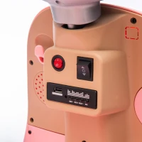 12V 2-Seater Kids Ride On Electric Motorcycle with Backseat Flip Adult Seat, Slow Start, Multifunction Player, and Oversized Storage Box, Pink(m-8)