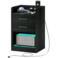 HOMCOM Tall Nightstand with Charging Station and LED Lights, Small Bedside Table with AC Outlets, USB Ports, 2 Drawers, Shelf(m-2)
