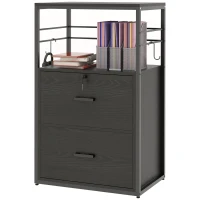Vinsetto Lockable Filing Cabinet, 2 Drawer File Cabinet with Adjustable Hanging Bar for Letter, A4 and Legal Size, Black(m-11)