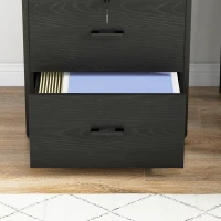 Vinsetto Lockable Filing Cabinet, 2 Drawer File Cabinet with Adjustable Hanging Bar for Letter, A4 and Legal Size, Black(m-9)