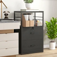 Vinsetto Lockable Filing Cabinet, 2 Drawer File Cabinet with Adjustable Hanging Bar for Letter, A4 and Legal Size, Black(m-1)