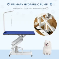 PawHut Pet Grooming Table, Height Adjustable Dog Grooming Table with Arm, Noose and Non-Slip Grooming Table, Blue(m-6)
