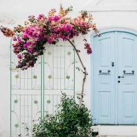 2 Pack Metal Garden Trellis with Leaves and Flower Decorations, Rustproof Climbing Plant Support, 87" Height, Green(m-5)