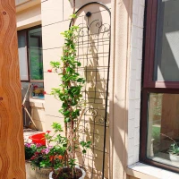 2 Pack Garden Trellis with Powder-Coated Galvanized Tube, Easy Assembly, Rustproof Plant Support for Climbing Plants, 40" L x 87" H, Black(m-8)