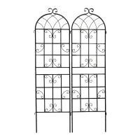 2 Pack Rustproof Garden Trellis with Powder-Coated Finish Galvanized Tube, Easy Assembled Metal Climbing Plant Support, 40" L x 71" H, Black(m-2)