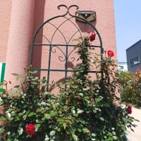 2 Pack Rustproof Garden Trellis with Powder-Coated Finish Galvanized Tube, Easy Assembled Metal Climbing Plant Support, 40" L x 87" H, Black(m-10)