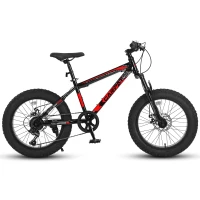 20" Kids' Fat Tire Mountain Bike with 7-Speed Drivetrain, and Dual Disc Brakes, for Ages 8-12, 63" L x 24.5" W x 35" H, Black+Red(m-11)