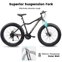 26" Fat Tire Mountain Bike with 21-Speed Drivetrain, Dual Disc Brakes, 4" Wide Wheels for Trail, Beach, Snow, and City Riding, Black(m-4)