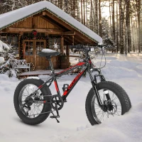 20" Kids' Fat Tire Mountain Bike with 7-Speed Drivetrain, and Dual Disc Brakes, for Ages 8-12, 63" L x 24.5" W x 35" H, Black+Red(m-4)
