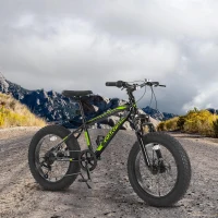20" Kids' Fat Tire Mountain Bike with 7-Speed Drivetrain, and Shock-Absorbing Front Fork, for Ages 8-12, 63" L x 24.5" W x 35" H, Blackish Green(m-1)