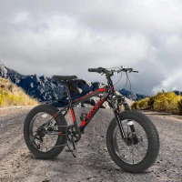 20" Kids' Fat Tire Mountain Bike with 7-Speed Drivetrain, and Dual Disc Brakes, for Ages 8-12, 63" L x 24.5" W x 35" H, Black+Red(m-1)