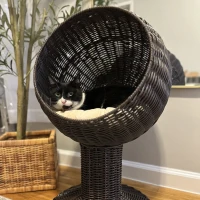 PawHut Elevated Cat Bed with Rotatable Egg Chair Pod, Cat Basket Bed with Thick Cushion, Natural Mat Grass Woven Kitty House, Coffee(m-12)