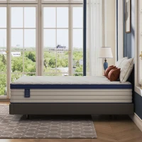 Queen Size Gel Double Mattress with Roll Pack Compression, Memory Foam Mattress, Supports Spinal Health, 80″ L x 60″ W x 12″ H, White+Blue(m-6)