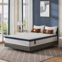 Twin Size Gel Memory Foam Mattress with Spring Support, Roll Pack Compression, 75″ L x 39″ W x 12″ H, White+Blue(m-1)