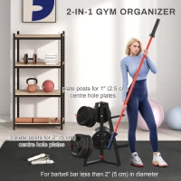 Soozier Weight Rack for 1-Inch or 2-Inch Weight Plates, 660LBS Capacity Weight Plate Rack for Home Gym Storage(m-4)