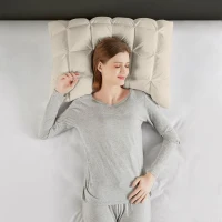 Luxuriously Soft Standard Overfilled Pillow Protector with 100% Polyester Microfiber, Zipper Closure, 3D Puff Stitching, 28" L x 20" W x 0.13" H, Beige(m-7)