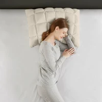 Luxuriously Soft Standard Overfilled Pillow Protector with 100% Polyester Microfiber, Zipper Closure, 3D Puff Stitching, 28" L x 20" W x 0.13" H, Beige(m-8)