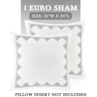 Cotton Embroidered Euro Sham with Antimicrobial Treatment, Hidden Zipper, Pillow Cover with Geometric Design , 26" L x 26" W x 0.13" H, White(m-3)