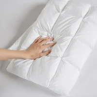 Luxuriously Soft Overfilled Pillow Protector with 100% Polyester Microfiber, 3D Puff Stitching, Zipper Closure, 36" L x 20" W x 0.13" H, White(m-9)