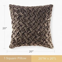 Decorative Square Pillow with Goose Feather Insert, Velvet Ruched Design, Luxury Metal Zipper, Ideal for Sofa, Bed, 20" L x 20" W x 5" H, Brown(m-3)