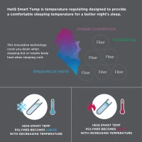 Reversible Down Alternative Blanket with Moisture Wicking, Smart Temperature Regulating, Machine Washable, 90" L x 66" W x 0.25" H, Gray(m-6)