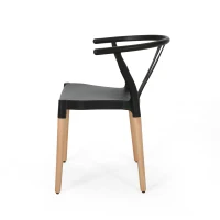 Set of 2 Modern Plastic Dining Chair with Beech Wood Legs, 20" L x 22" W x 29" H, Black(m-9)