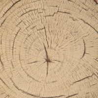 Outsunny Tree Stump Decorative Garden Stool, 15" Outdoor Stool Side Table Plant Stand Footstool for Indoor Outdoor, Brown(m-9)