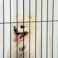 PawHut Wooden Dog Gate for Small & Medium Dogs 4 Panel w/ Support Feet Foldable Pet Fence for House Doorway White(m-10)