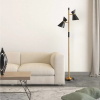 Axis Brassed Gold Floor Lamp with 4-Way Switch, Double Spots, Metal Base, 22" L x 10" W x 62" H, Black+Gold